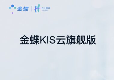 金蝶KIS云旗舰版：实现小企业全面管理升级！