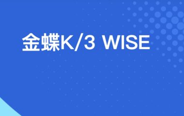 提升企业管理效率的利器：金蝶K/3 WISE