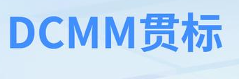 科大睿智-DCMM数据能力成熟度模型 服务
