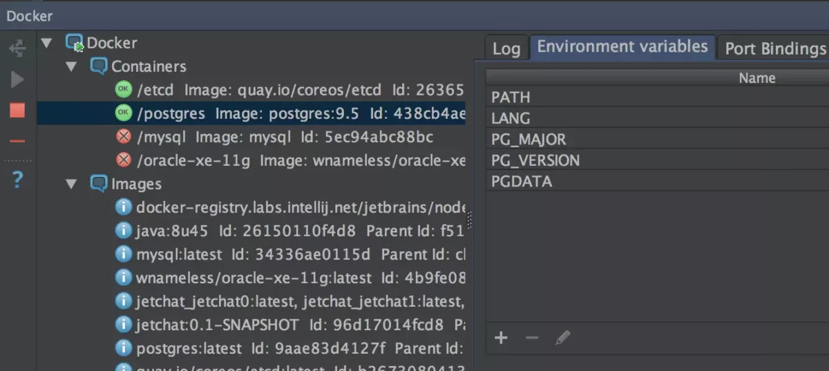 JetBrains GoLand Docker