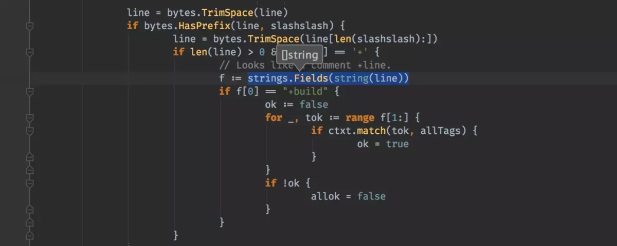 JetBrains GoLand Type Parameter（类型形参）