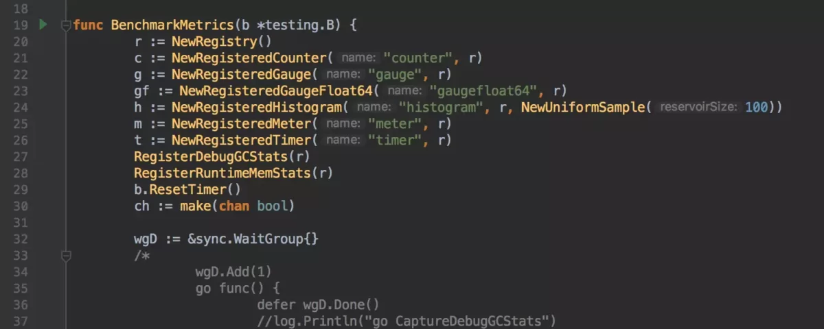 JetBrains GoLand 参数提示