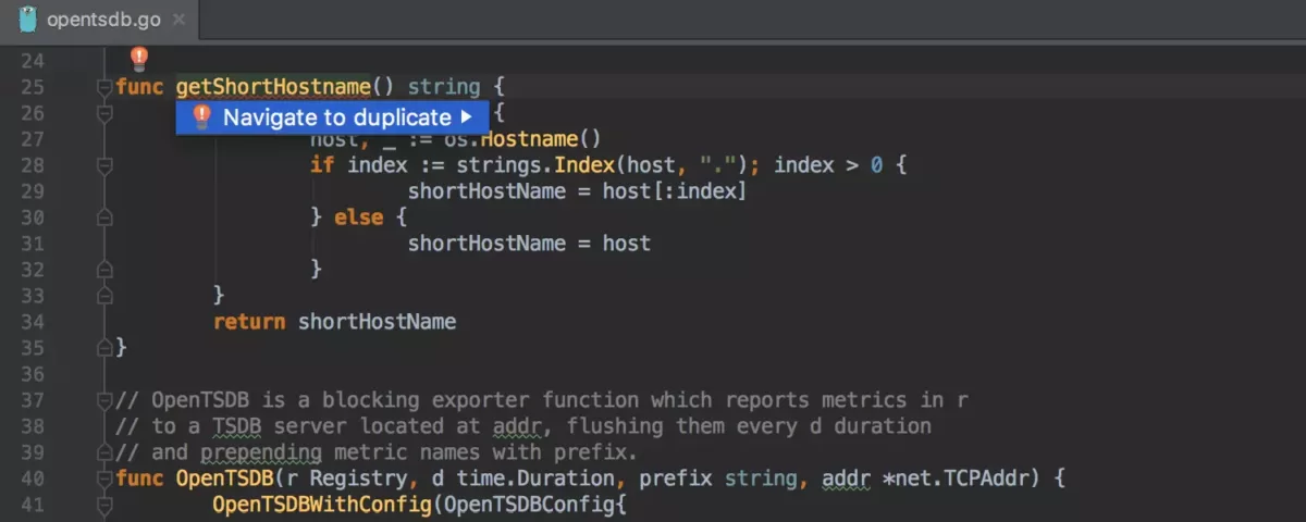 JetBrains GoLand 检查与快速修复10