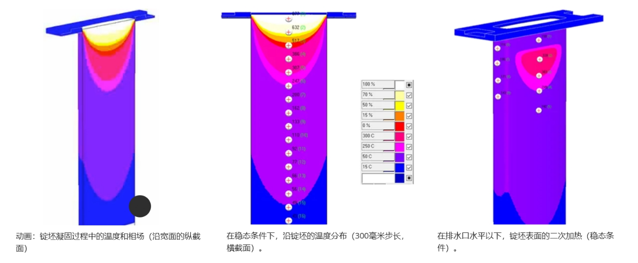 POLIGONSOFT有限元铸造模拟软件 连铸模块4