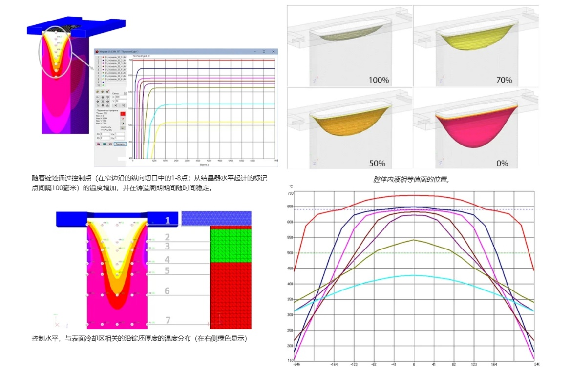 POLIGONSOFT有限元铸造模拟软件 连铸模块5