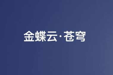 金蝶管易云·苍穹 详细介绍