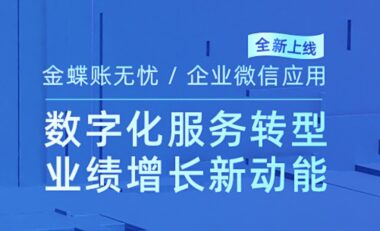金蝶·账无忧 是什么