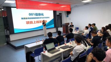 傲雷集团“全供应链端到端需求与交付”项目成功上线