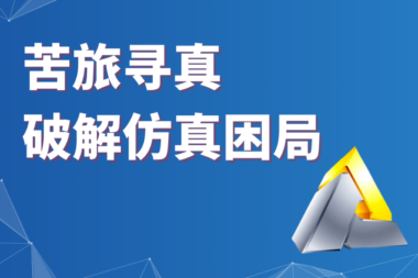安世亚太——苦旅寻真，破解仿真困局#全球软件企业