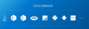 国产化 BS架构 源代码安全检测管理平台