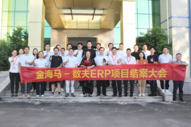 金海马-数夫数字化项目高效结案 打通全链路数据！