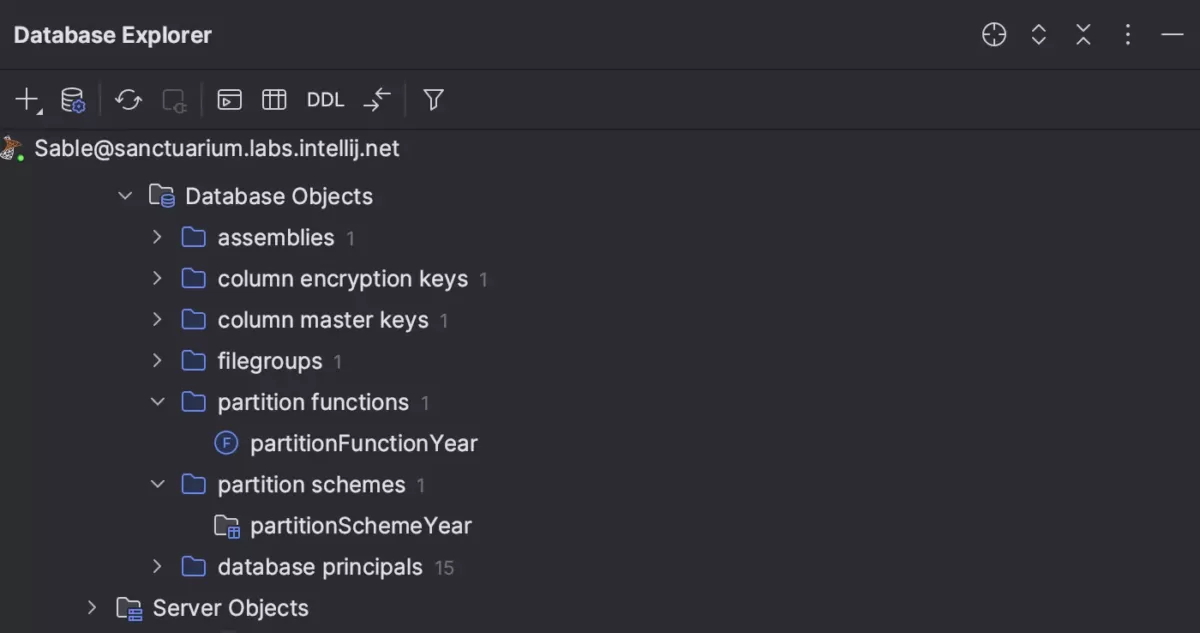 JetBrains DataGrip 内省4