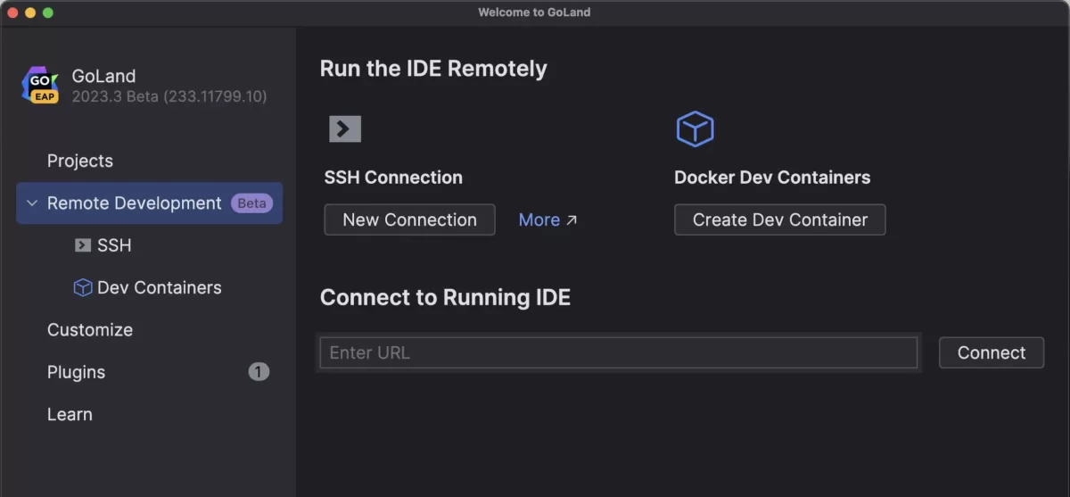 JetBrains GoLand Dev Container1