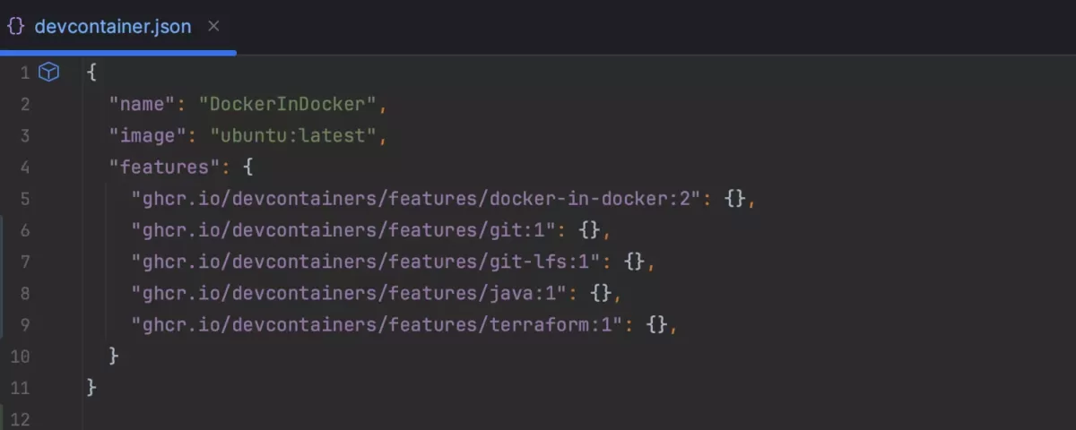JetBrains GoLand Dev Container2