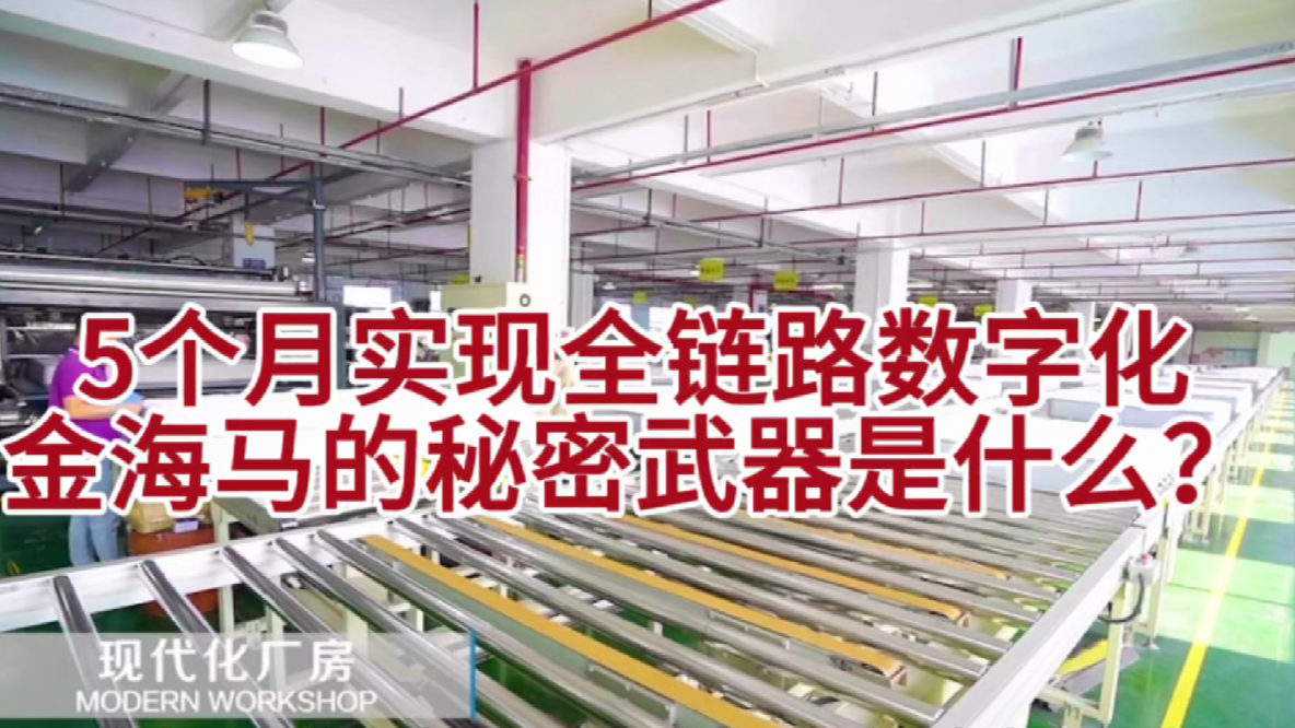 5个月实现全链路数字化，金海马的秘密武器是什么？