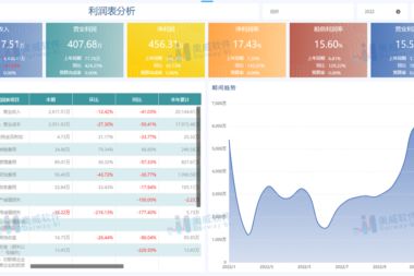 真心建议，入职业务部门前先学会BI数据分析
