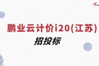 鹏业云计价i20(江苏)招投标功能