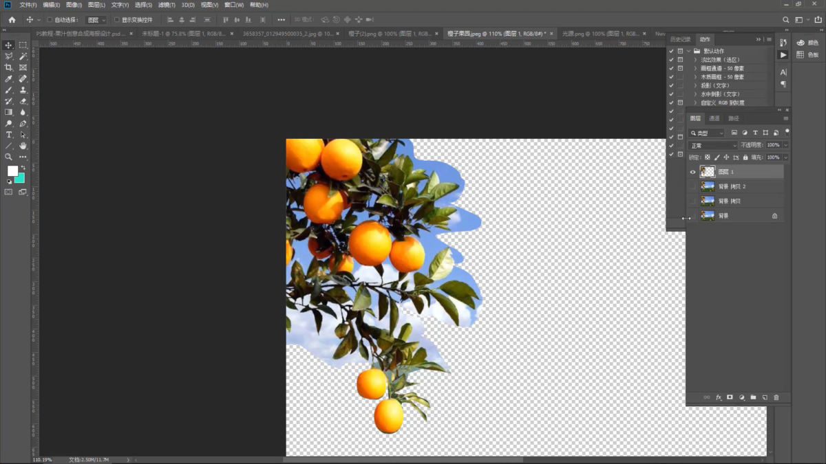 Adobe Photoshop 深度评测：功能解析、版本选择与正版采购指南