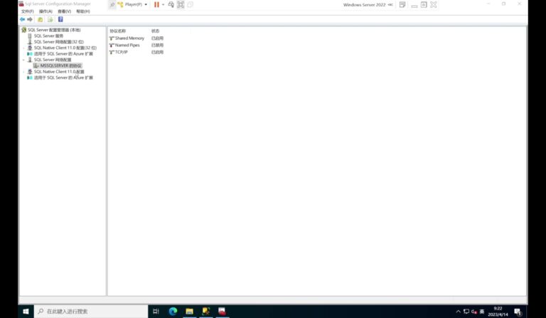 Microsoft SQL Server 2022 软件界面 1