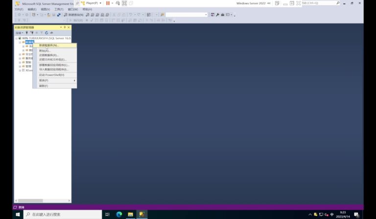 Microsoft SQL Server 2022 软件界面 2