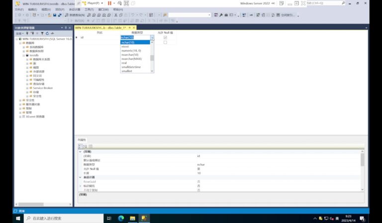 Microsoft SQL Server 2022 软件界面 4