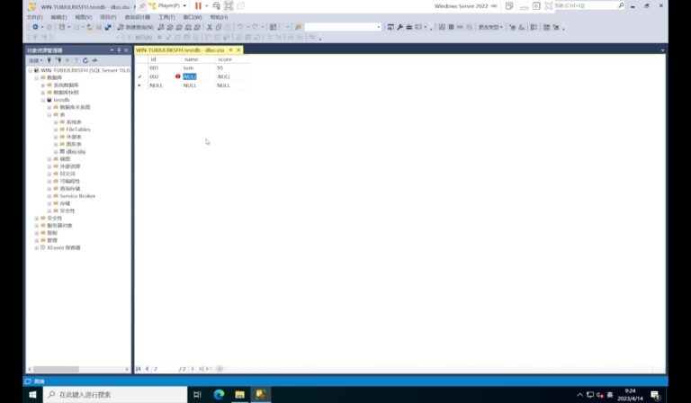 Microsoft SQL Server 2022 软件界面 6