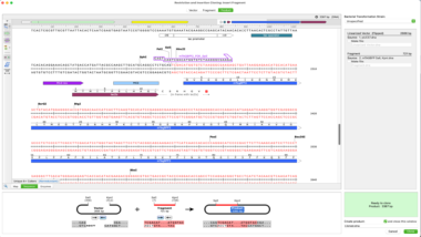 SnapGene 8.2.3 发布：平台兼容与数据导入改进