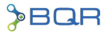 BQR Reliability Engineering LTD.