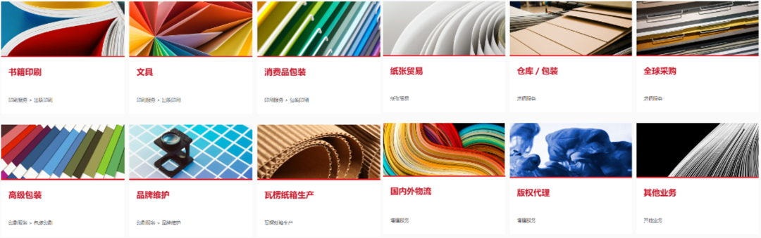 鸿兴集团APS项目启动