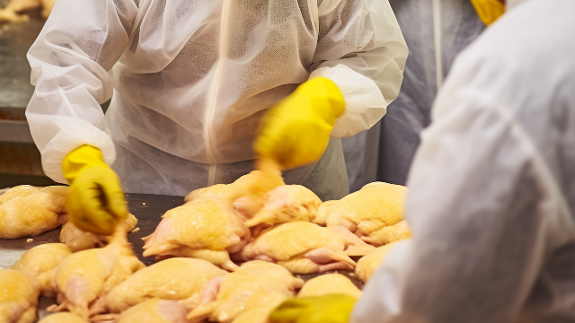 食品加工企业成本核算存在问题及对策