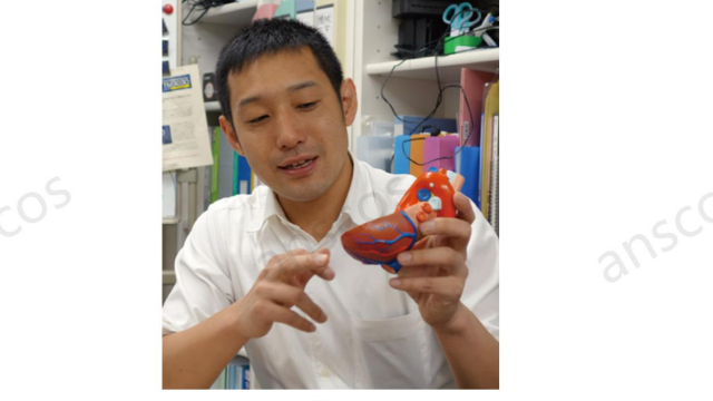 从工程学角度预测血管和气管的流量并研究生物