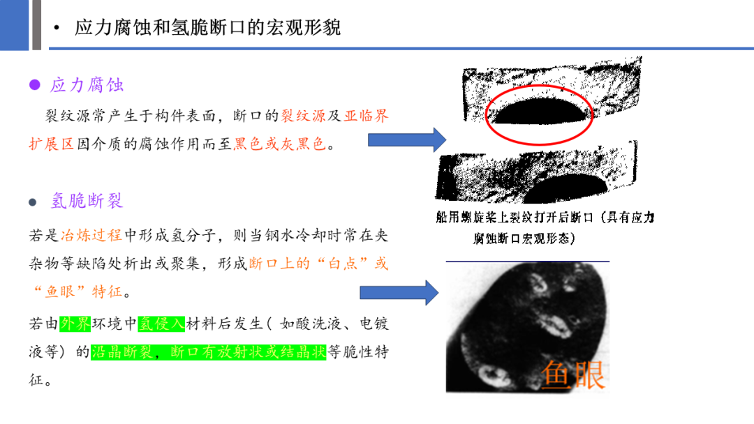 一文探究金属材料裂纹与断口分析