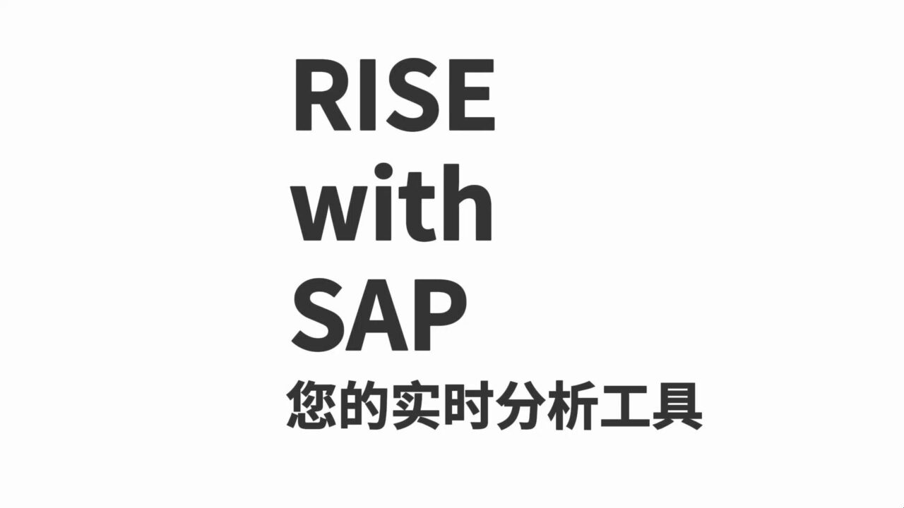 RISE with SAP您的实时分析工具
