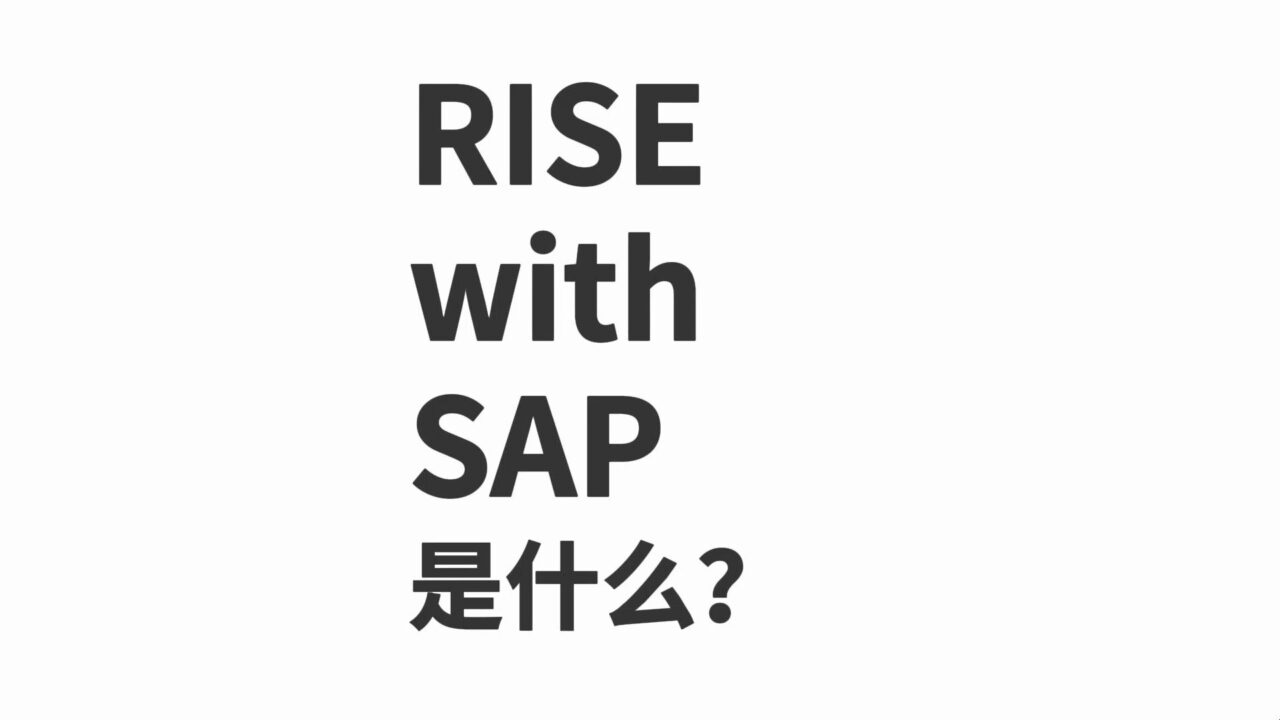 RISE with SAP是什么？