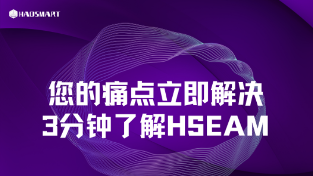 您的痛点立即解决，3分钟了解HSEAM系统