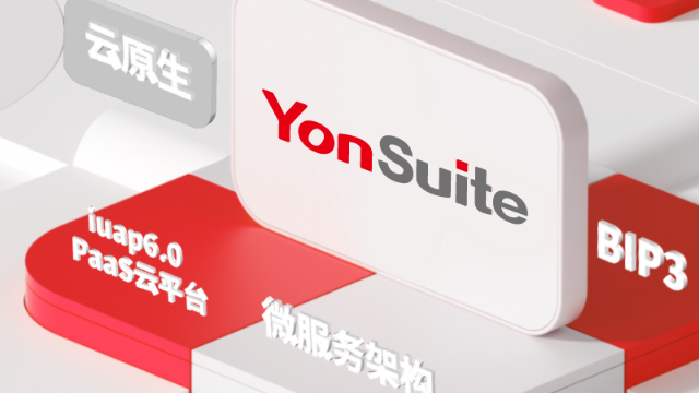 徐洋：加速成长型企业商业创新，AI+YonSuite成就数智企业！