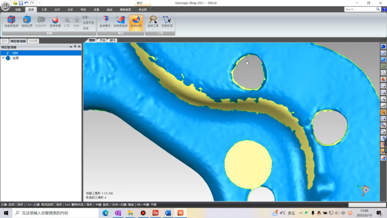 Geomagic Wrap软件界面6