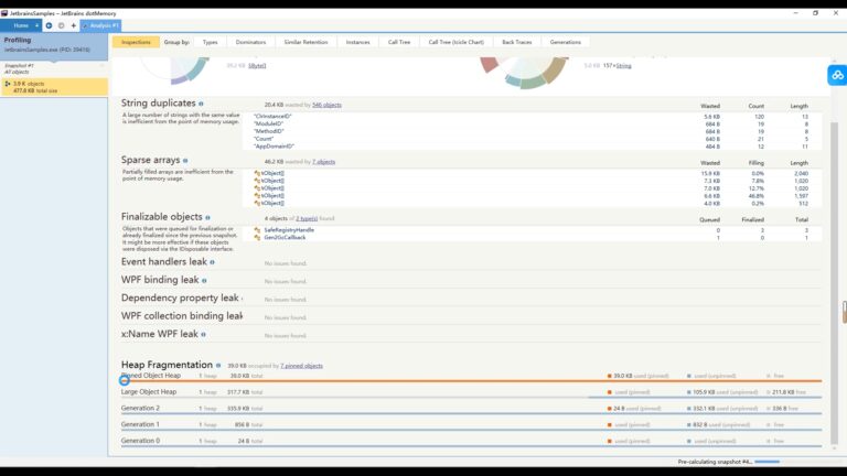 Jetbrains dotMemory软件界面2