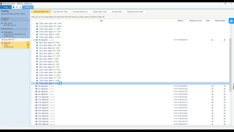 Jetbrains dotMemory软件界面5