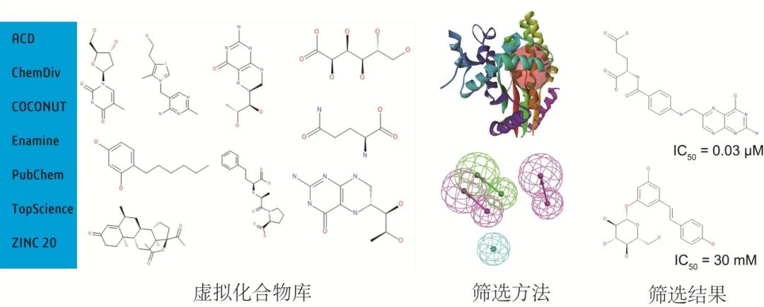 Discovery Studio “小灶”培训班 | 8月30日第3期:助力天然产物的虚拟筛选