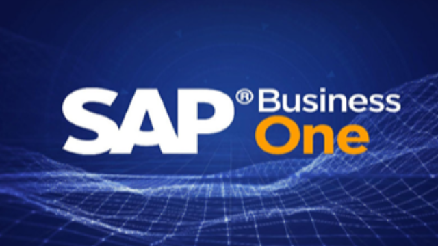 SAP Business One 与无锡哲讯：携手共创企业数字化未来