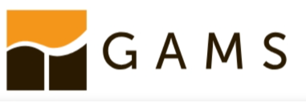 GAMS 运筹规划分析软件