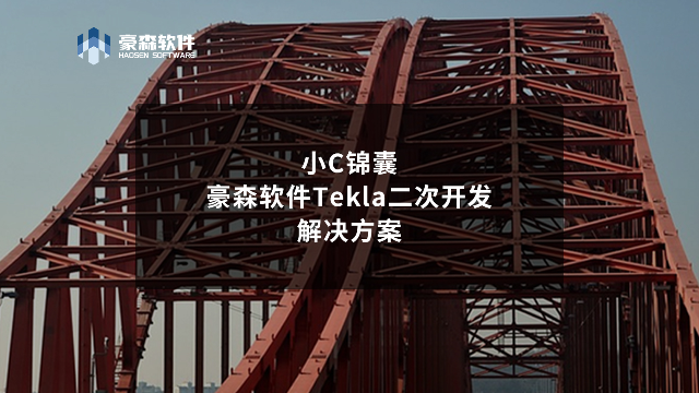 小C锦囊丨豪森软件Tekla二次开发解决方案