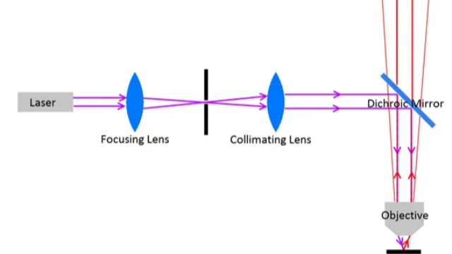 Ansys Zemax | 如何用 OpticStudio 设计共焦荧光显微镜