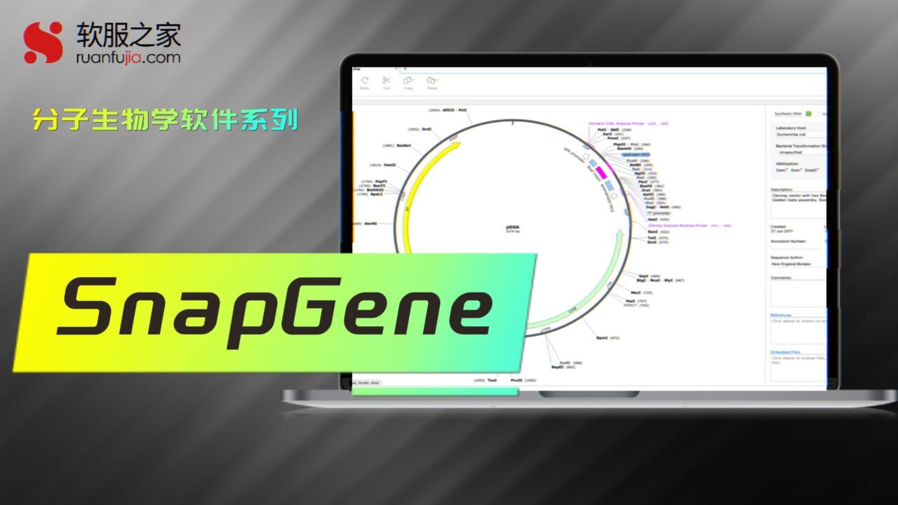 SnapGene-分子生物-2025