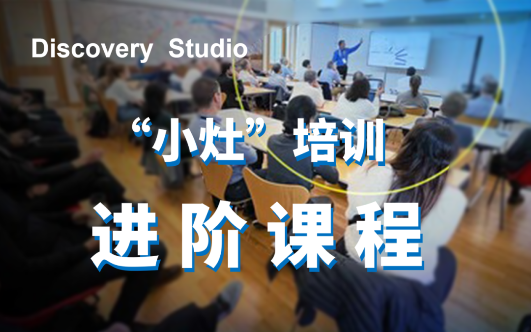 效率翻倍!Discovery Studio软件核心操作全解析