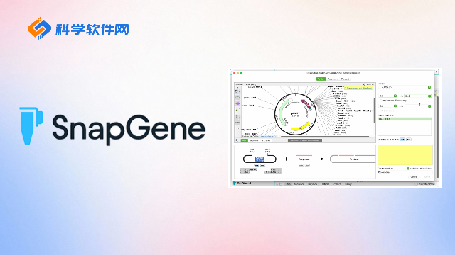 SnapGene v8.1.0b3 更新