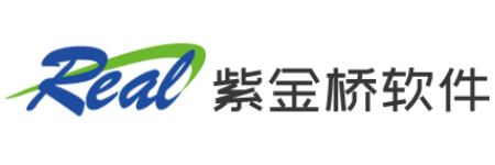 大庆紫金桥软件技术有限公司