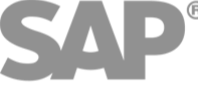 SAP Business ByDesign：哲讯科技赋能中型企业数字化转型的利器