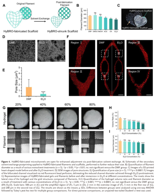 【Materials Studio应用实例】中国科学院成果展示:HyBRO技术实现高适应性多尺度血管网络3D打印